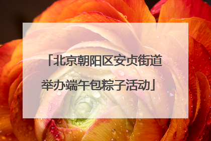 北京朝阳区安贞街道举办端午包粽子活动